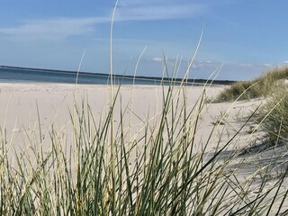 Vakantiehuis Niepars Omgeving 23
