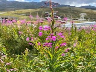 Vakantiepark Val Thorens Omgeving 33