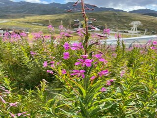 Parque de vacaciones Val Thorens Entorno 22