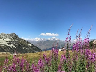 Ferienpark Sainte-Foy-Tarentaise Umgebung 15