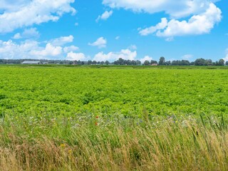 Maison de vacances Hattem Environnement 24