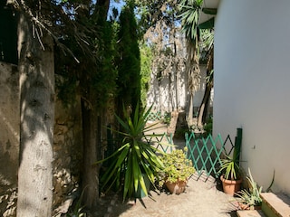 Villa Málaga Outdoor Recording 13