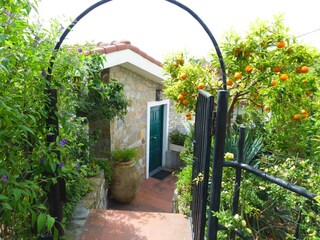 Casa per le vacanze Diano San Pietro Pianta del piano 41