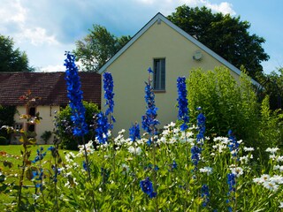 Bauerngartenblumen