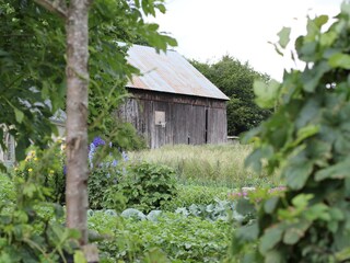 Bauerngarten und Scheune