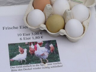 Eier aus der Nachbarschaft