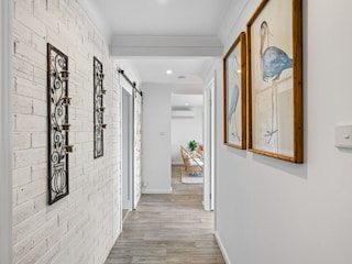 Apartment Welt  14