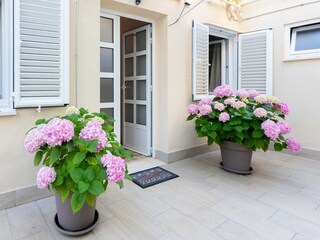 Appartement Dubrovnik  18