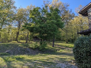 Holiday house Apecchio Outdoor Recording 8