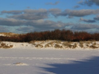 Borkum im Winter