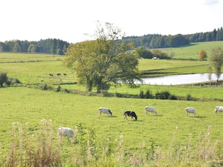 Vakantiehuis Vresse-sur-Semois Omgeving 36