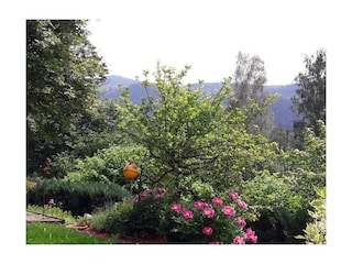 Ferienhaus Bodenmais  7