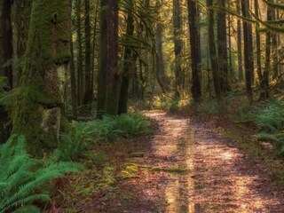 Casa per le vacanze Holten Ambiente 20
