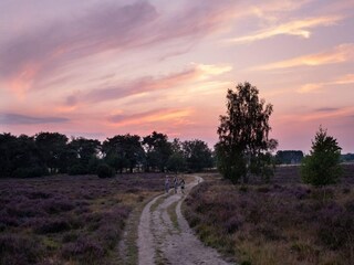 Casa per le vacanze Holten Ambiente 24