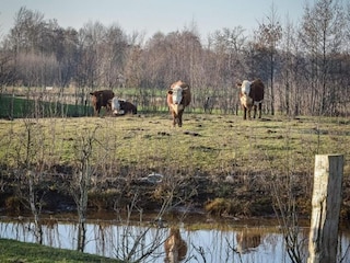 Bungalow Rijssen Omgeving 23