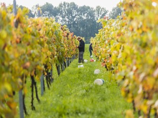 Vakantiepark Holten Omgeving 24