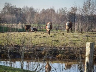 Ferienhaus Rijssen Umgebung 23