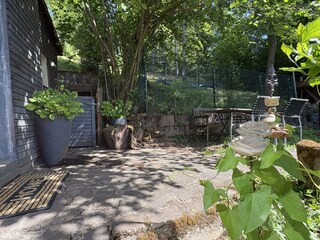 IMG_6295