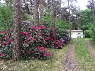 Bungalow Oud-Turnhout Außenaufnahme 4