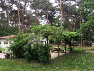 Bungaló Oud-Turnhout Grabación al aire libre 7