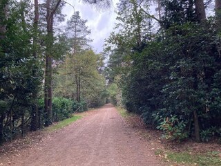 Bungaló Oud-Turnhout Entorno 35
