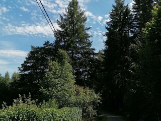 Holiday house Vielsalm Environment 18