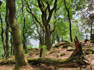 unberührte Natur