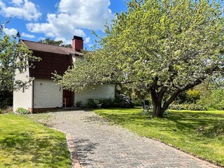 Ferienhaus Gladhammar Außenaufnahme 7