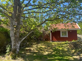 Ferienhaus Ellös Außenaufnahme 10