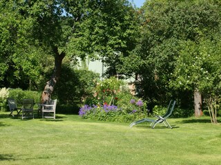 Our garden in the summer