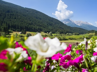 Wunderbare Aussicht