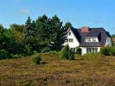 Syltic: Close to the mudflats, in the middle of a heather landscape