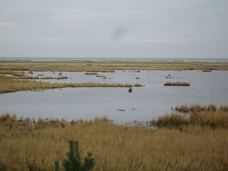 Naturschutzgebiet