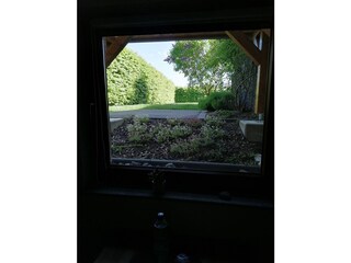 Ausblick Küchenfenster