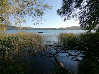 Blick auf den  Laacher See