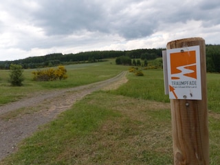 Traumpfad Wachholderheide