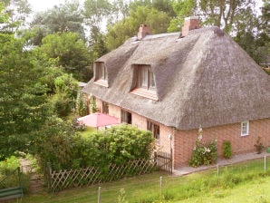 Ferienhaus Eider-daus - Oldenswort - image1