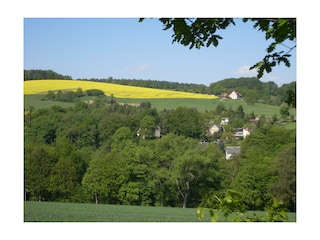 Wiesen und Wälder