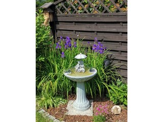 Springbrunnen