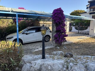 Carport Parkplatz für 2 Autos