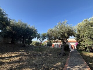 Weg vom Carport zum Garten