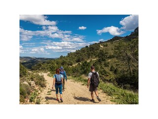 Wandern