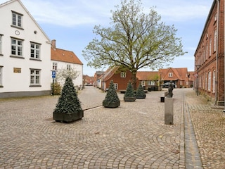 Ferienhaus Tønder Außenaufnahme 7