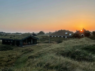 Ferienhaus Blokhus Außenaufnahme 5