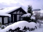 Ferienhaus HENNESEE im Schnee