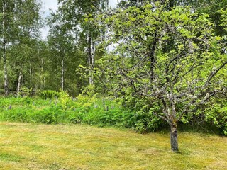 Ferienhaus Ambjörnarp Außenaufnahme 5
