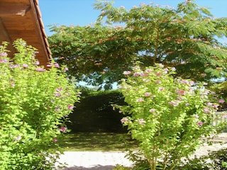 Ferienhaus Mimizan Außenaufnahme 6