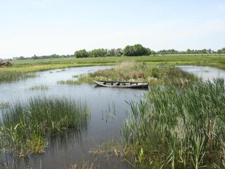 Holiday house Giethoorn Environment 33