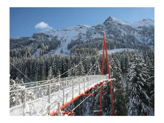 Baumzipfelweg