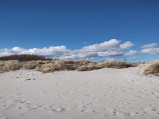 Ferienhaus Als  5